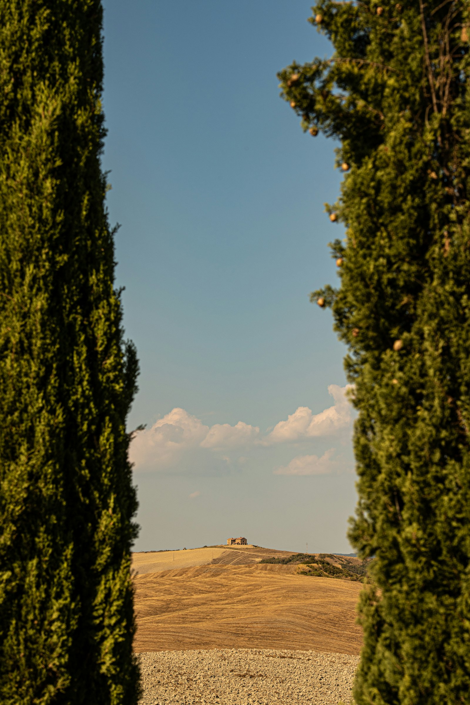 Casale tra i cipressi nella campagna toscana – Val d'Orcia